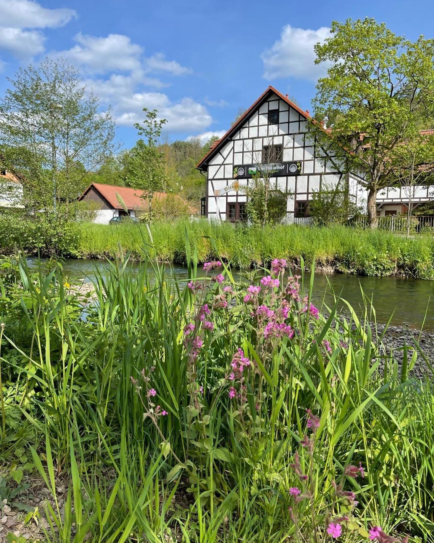 Landhotel Der Distelhof Mit Scheunencafe Dillstadt Экстерьер фото